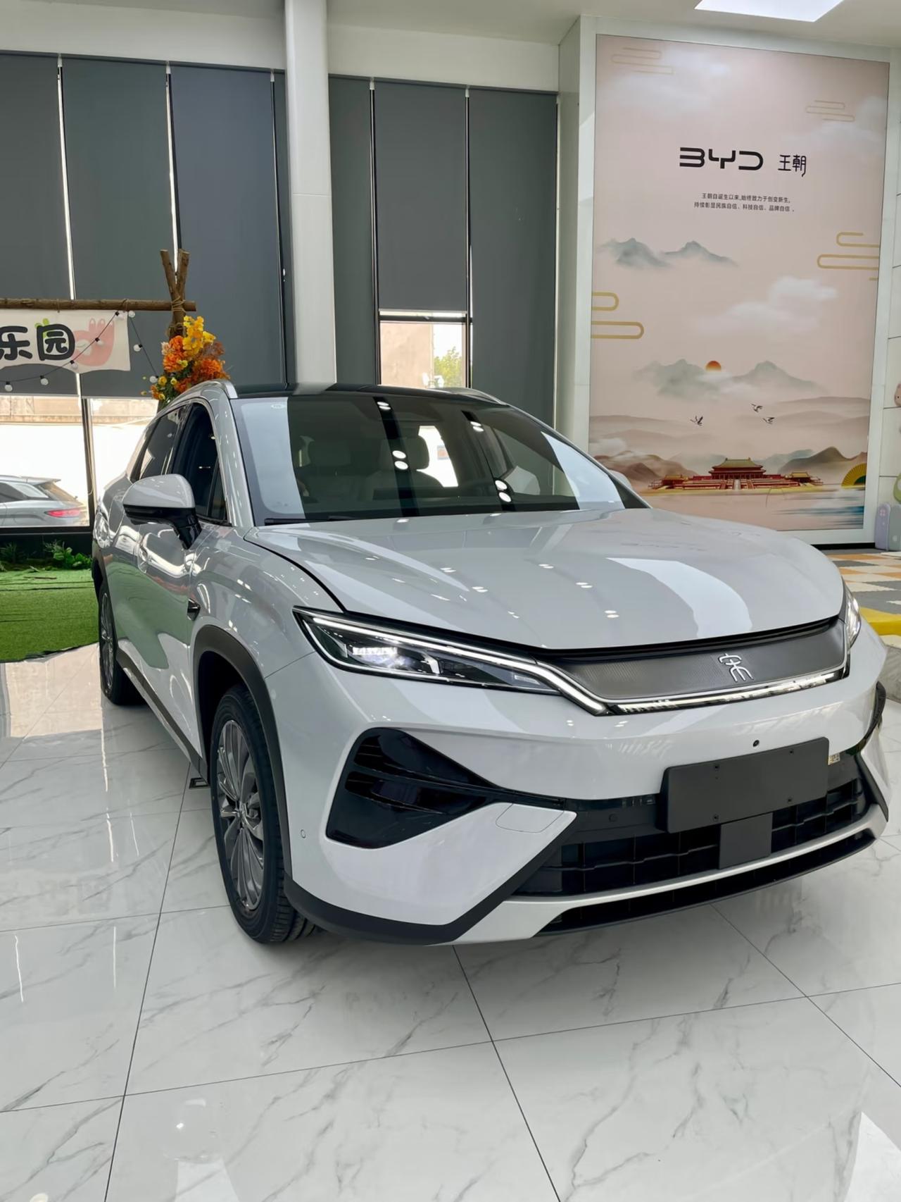 宋Ultra这辆车如果只看这两本本身的话，的确价格便宜，而且空间、配置也不错。但