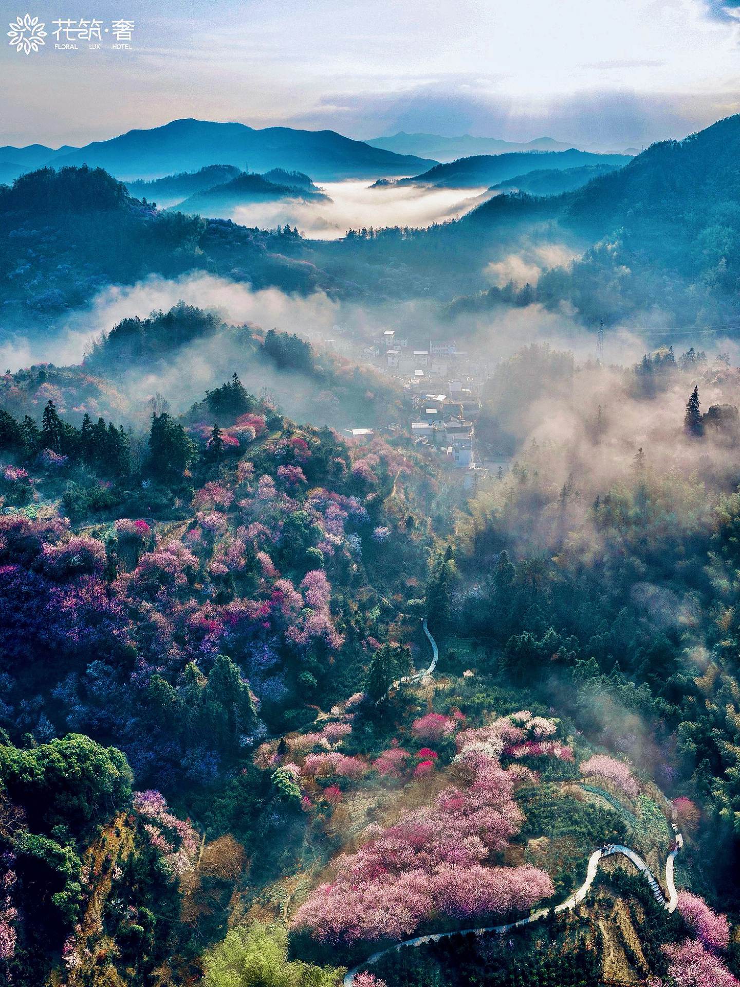 在古徽州上春山！皖南古村邂逅世外桃源🌸 · “一生痴绝处，无梦到徽州...