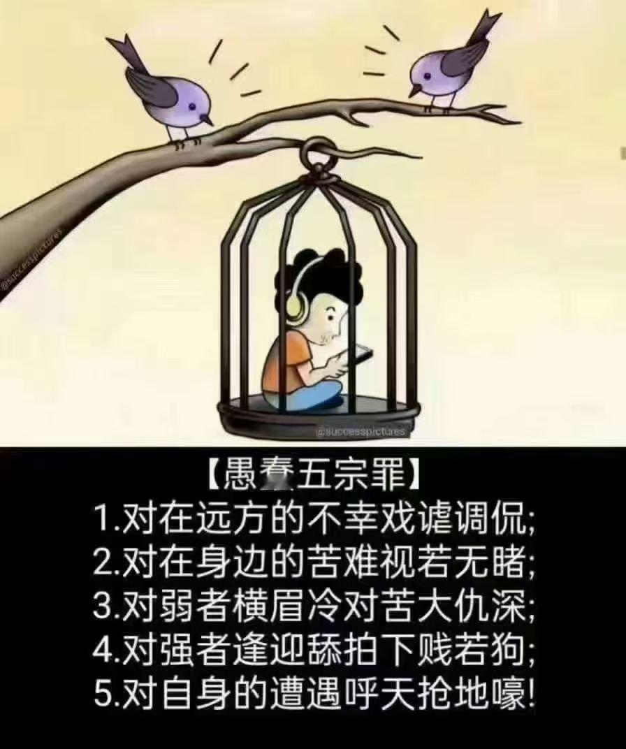 看图说话【愚蠢五宗罪】1．对在远方的不幸戏谑调侃；2．对在身边的苦难视若无睹