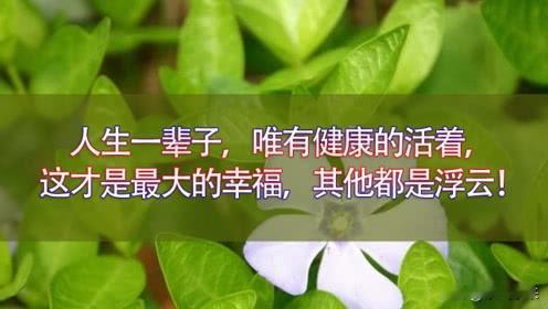 说句逾期的友友不爱听的话！不要想着上岸，目前这种可能性几乎为零！每个月微