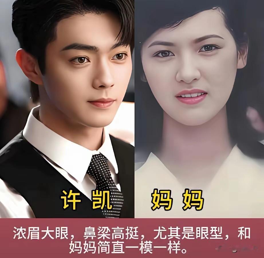 原来男星长得像妈妈真的会很帅许凯和肖战的妈妈最漂亮，特别是许凯的妈妈简直可以出
