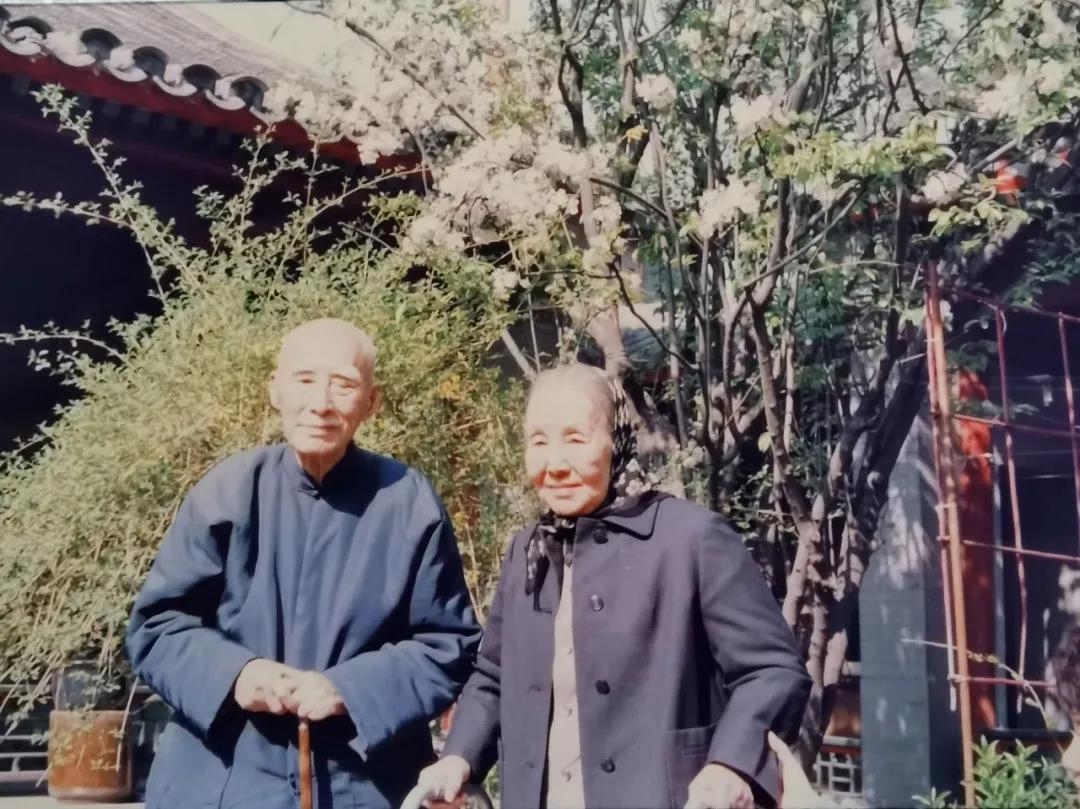 1984年4月5日，病榻上的叶圣陶正惦念着院中的海棠，盼着花开时节与故人同赏，却