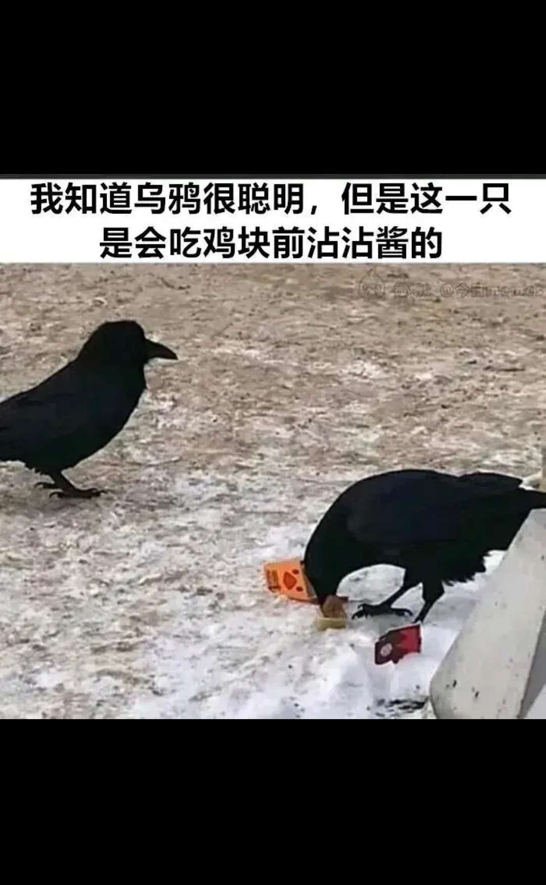也太聪明了吧