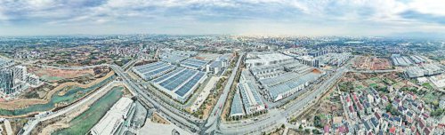 “抓项目 强产业 拓市场”: 浙江金华婺城全力冲刺“开门红”