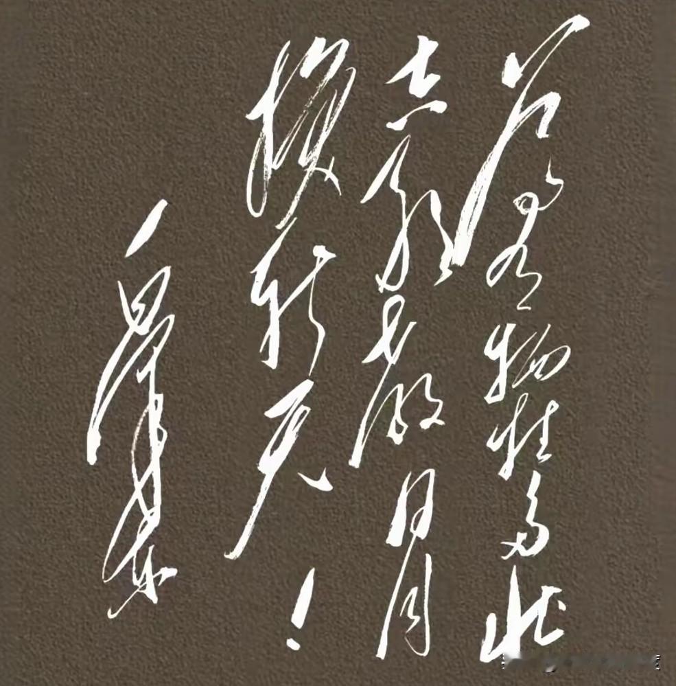 你能认出几个？刷到一幅毛爷爷的书法，整整14个字全是潇洒的草书，我盯着看了半天，