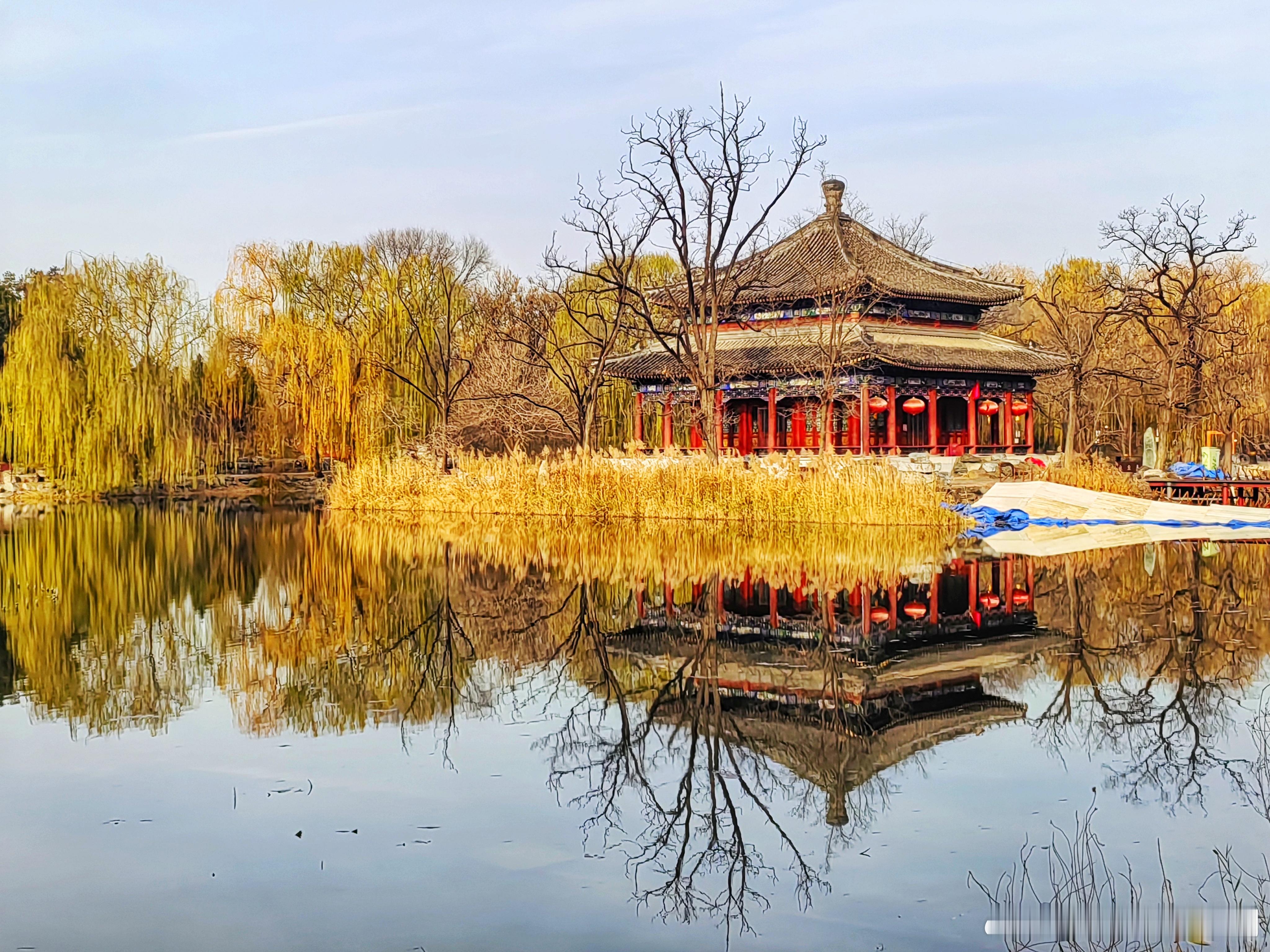 初冬的圆明园2025.11.26摄影