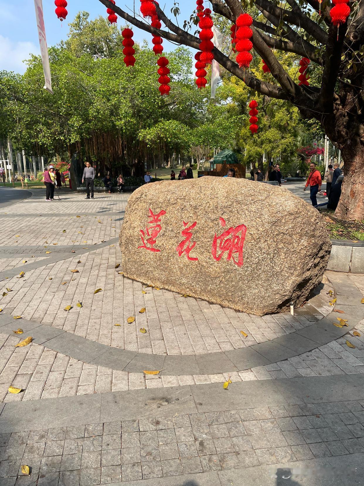 要我说，这才叫真正的深圳年味。还没有上班的赶紧带上大小朋友到处去走一走！