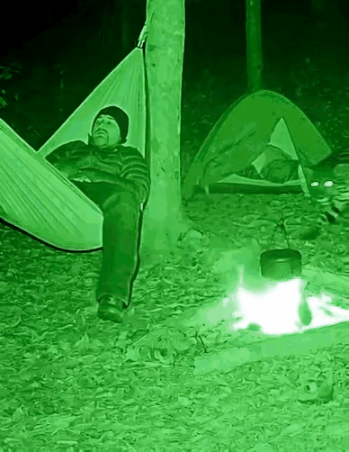 人高估了自己的实力动物低估自己的实力突然两个对视，都吓了一跳