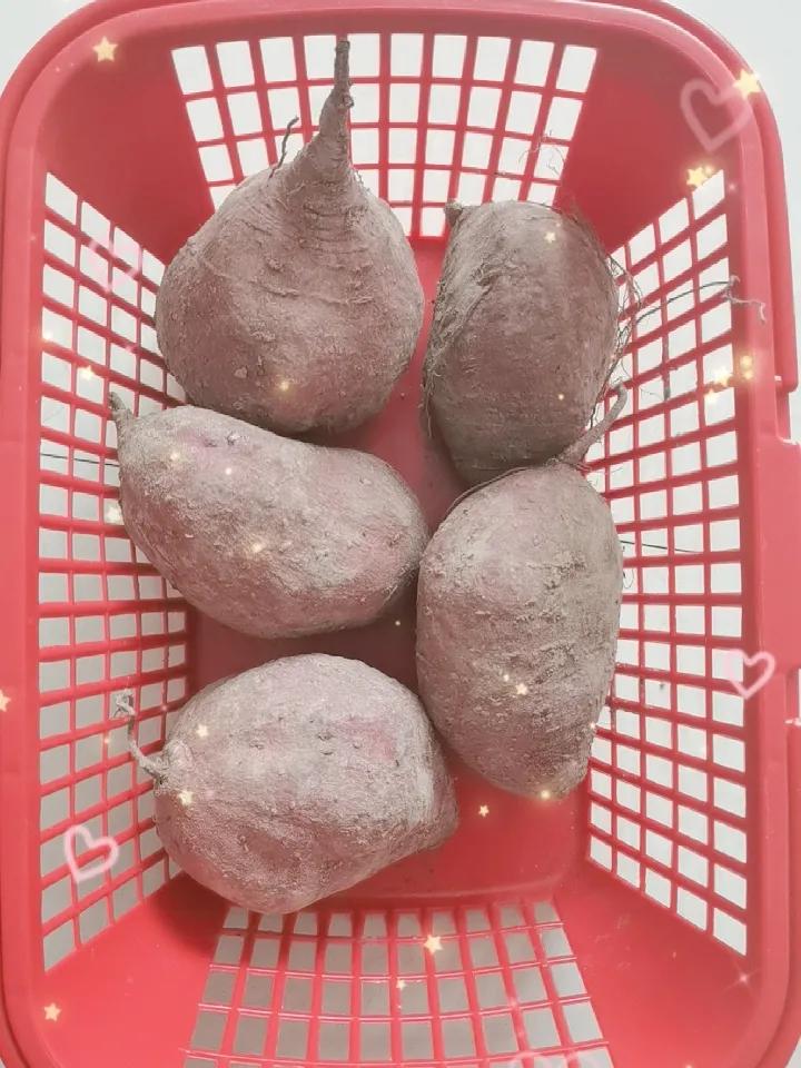 （图片为手机拍摄。）