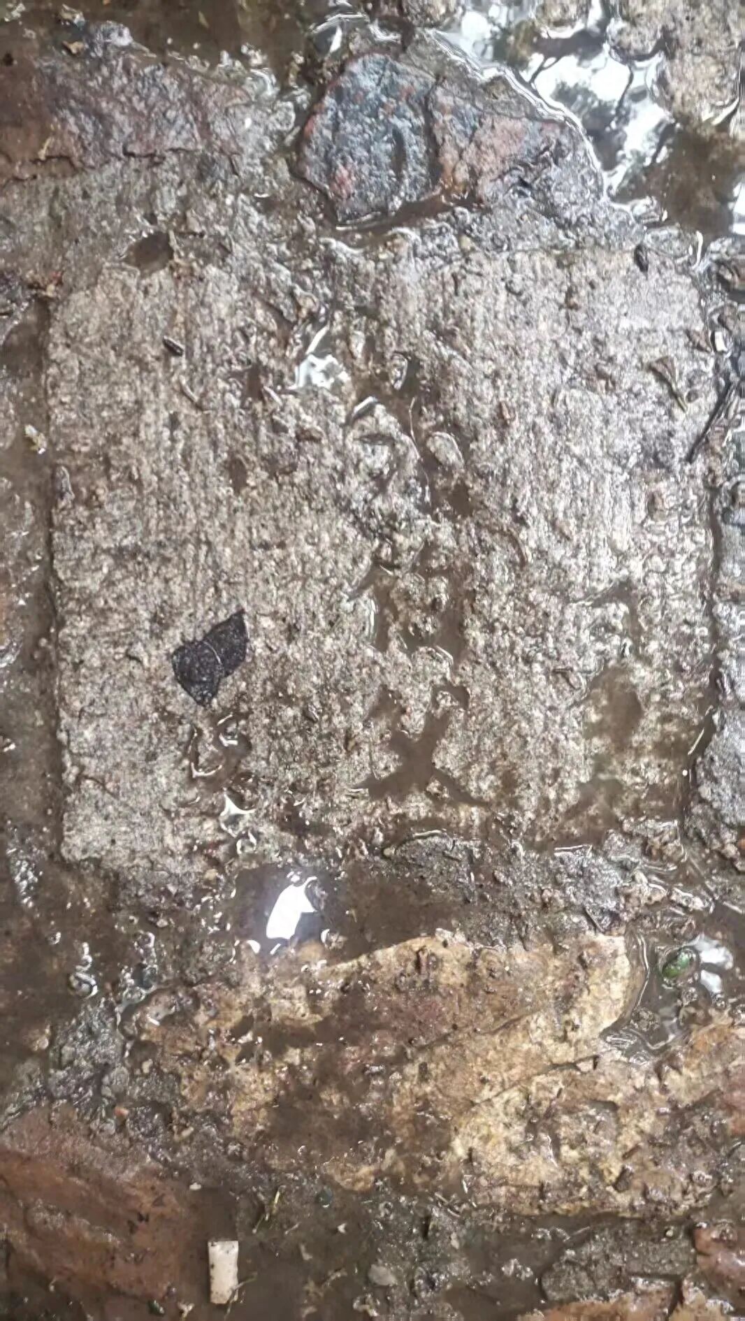 公园用墓碑铺路 碑面见