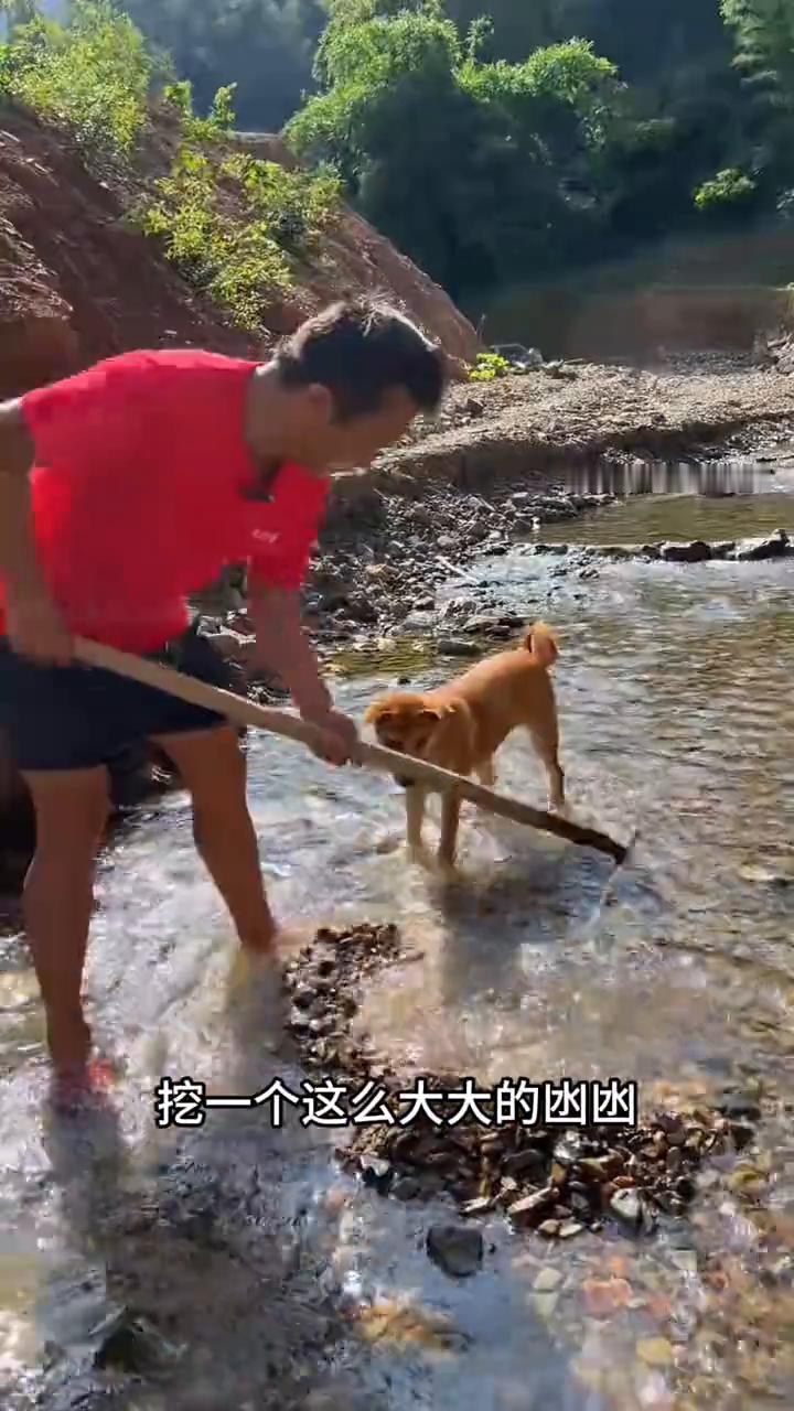 首先告诉你们，我不是在挖河沙，我是在做一个捕鱼陷阱。·在小溪流的中间挖一个这么