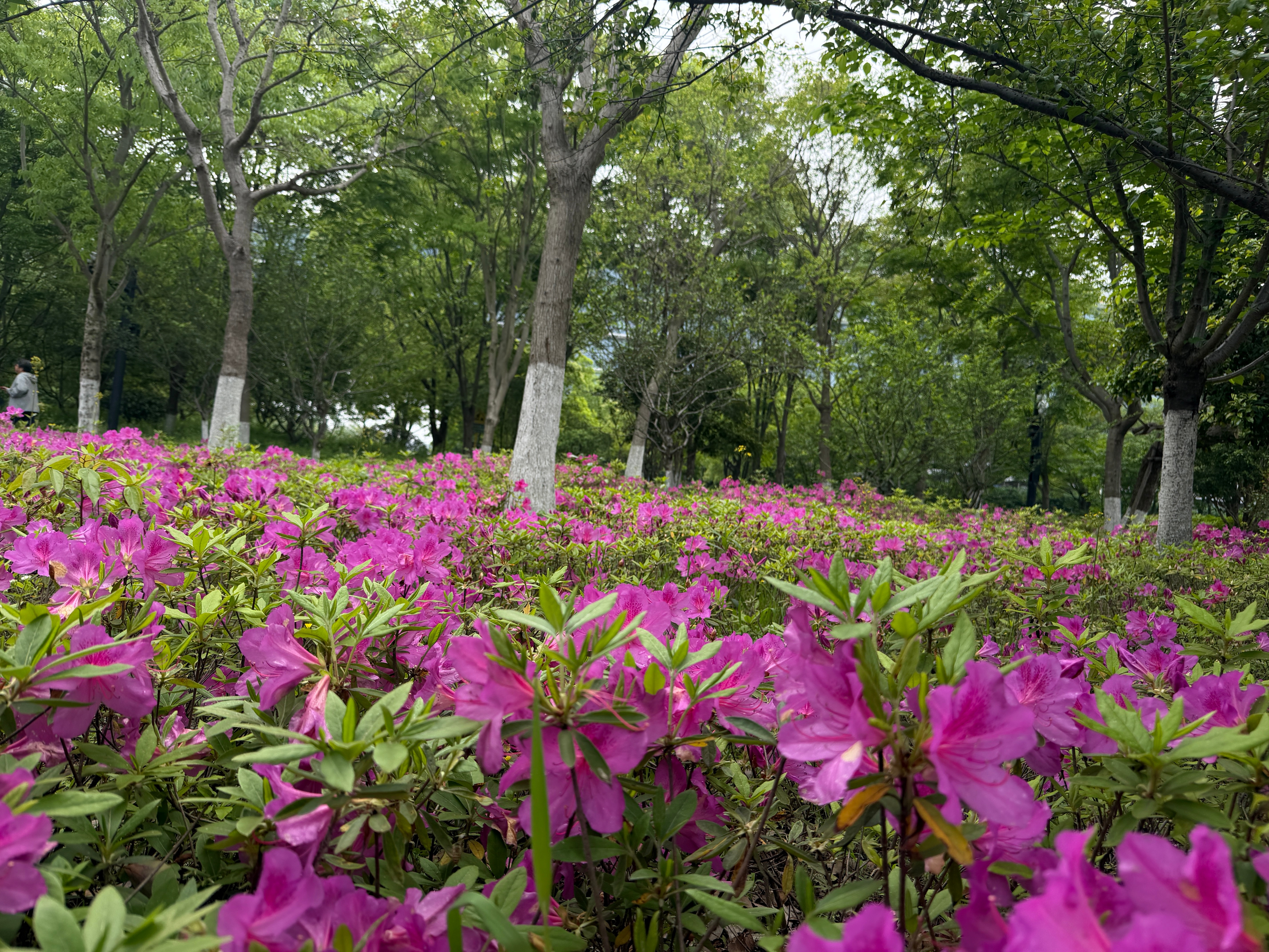 当下AI最火的三条主线其实很清晰：AI编程、企业智能体、AI创意生成。从数据服务