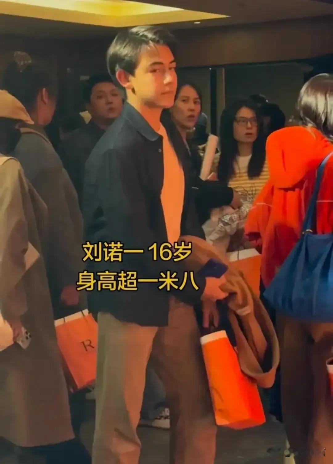 刘烨的混血儿女长大了还是好看的，说人家长残了的，看看吧，人家儿子胡子没了，眉眼长