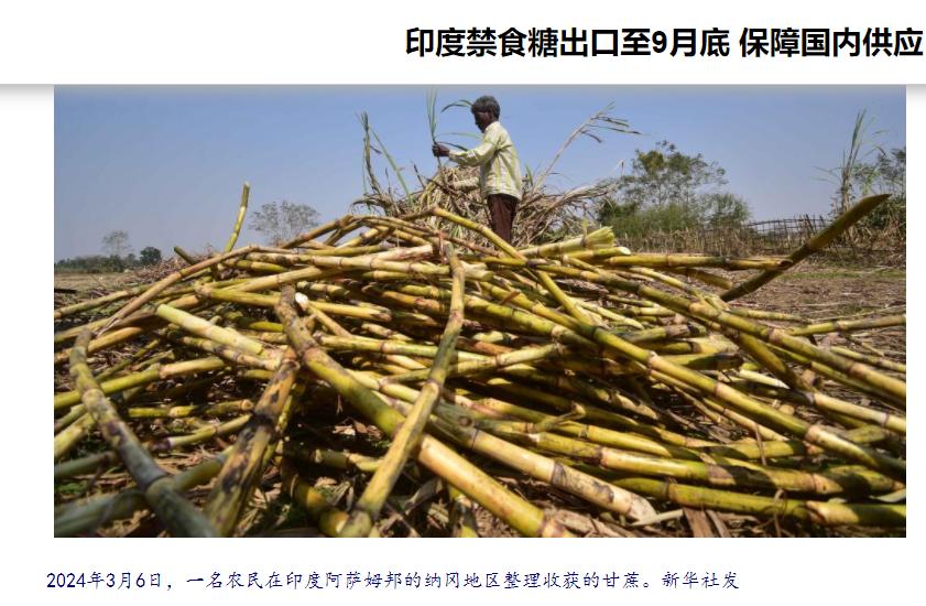 买不到原油和化肥的印度，想了一个招，就是禁止白糖出口，可能这是他们唯一的“招”了