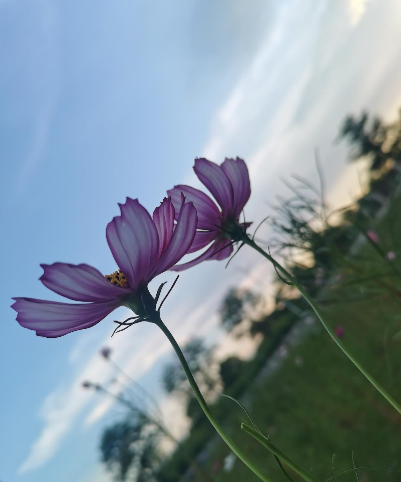 一步错，步步错，说后悔已经毫无意义，亲戚家娶儿媳妇时，去了10万元彩礼，他还媳妇