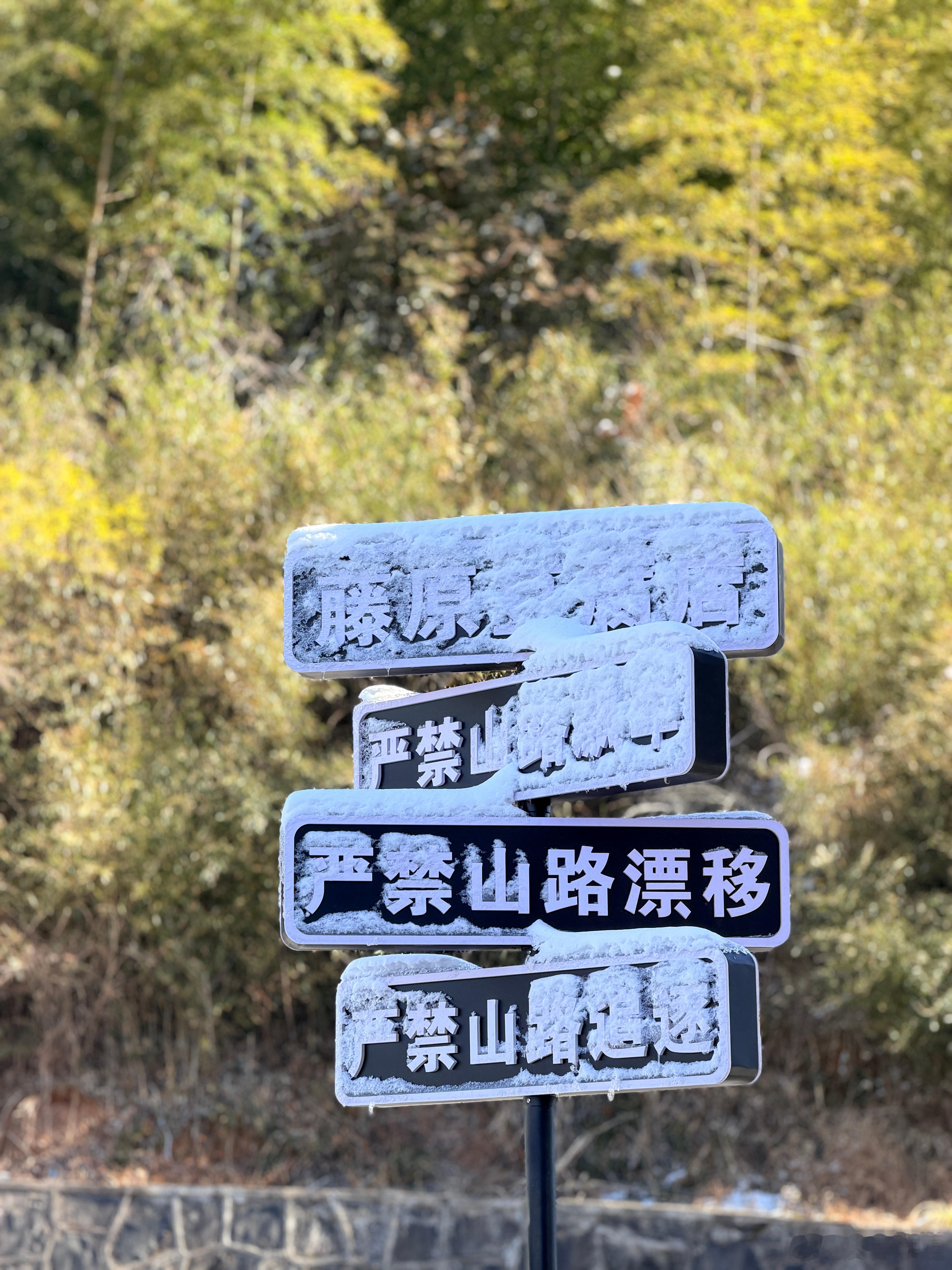 2025最后一程喜提小小雪花儿还有可爱的肥猫们