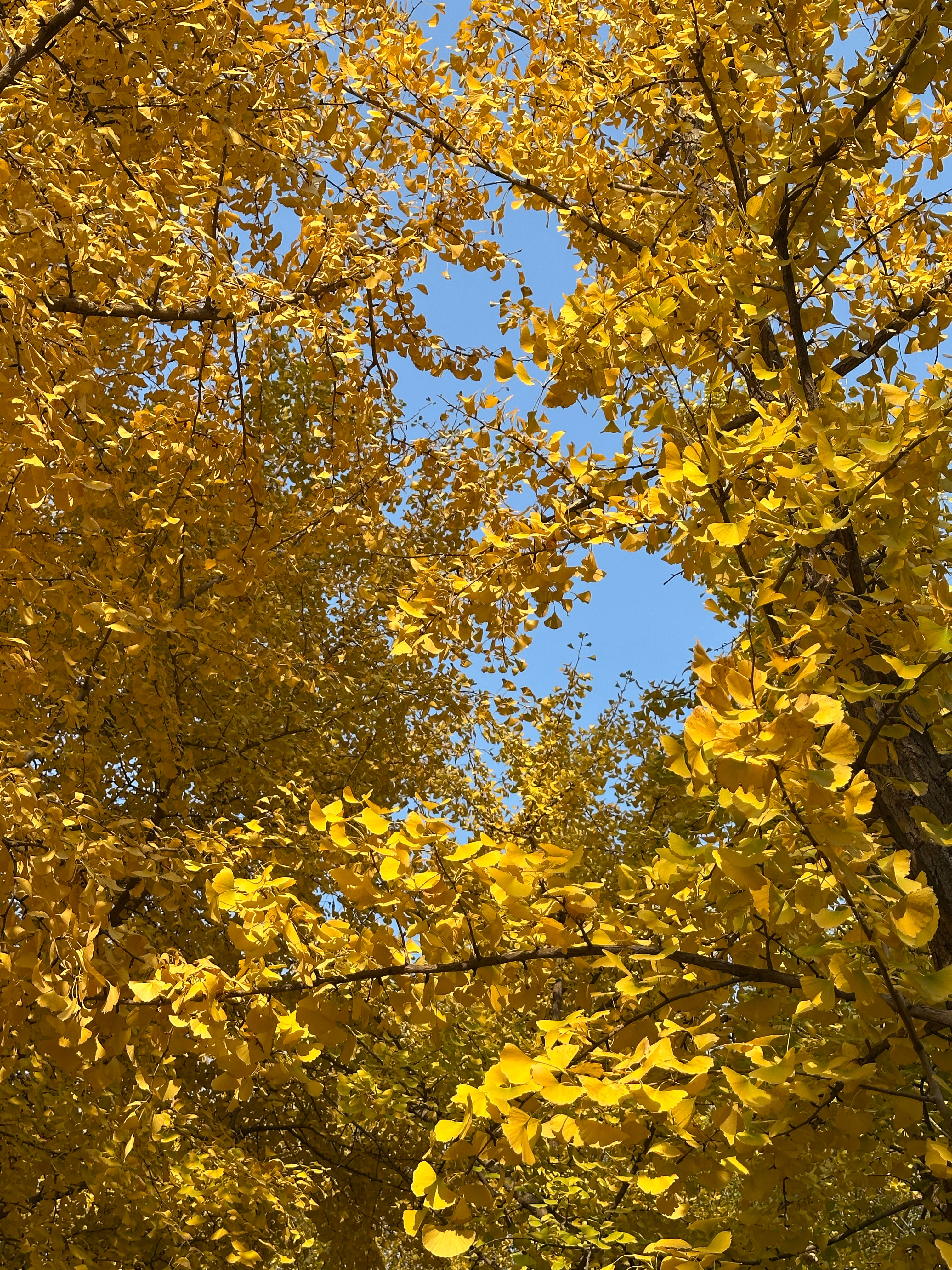 这不是北京是在济南！日常分享济南