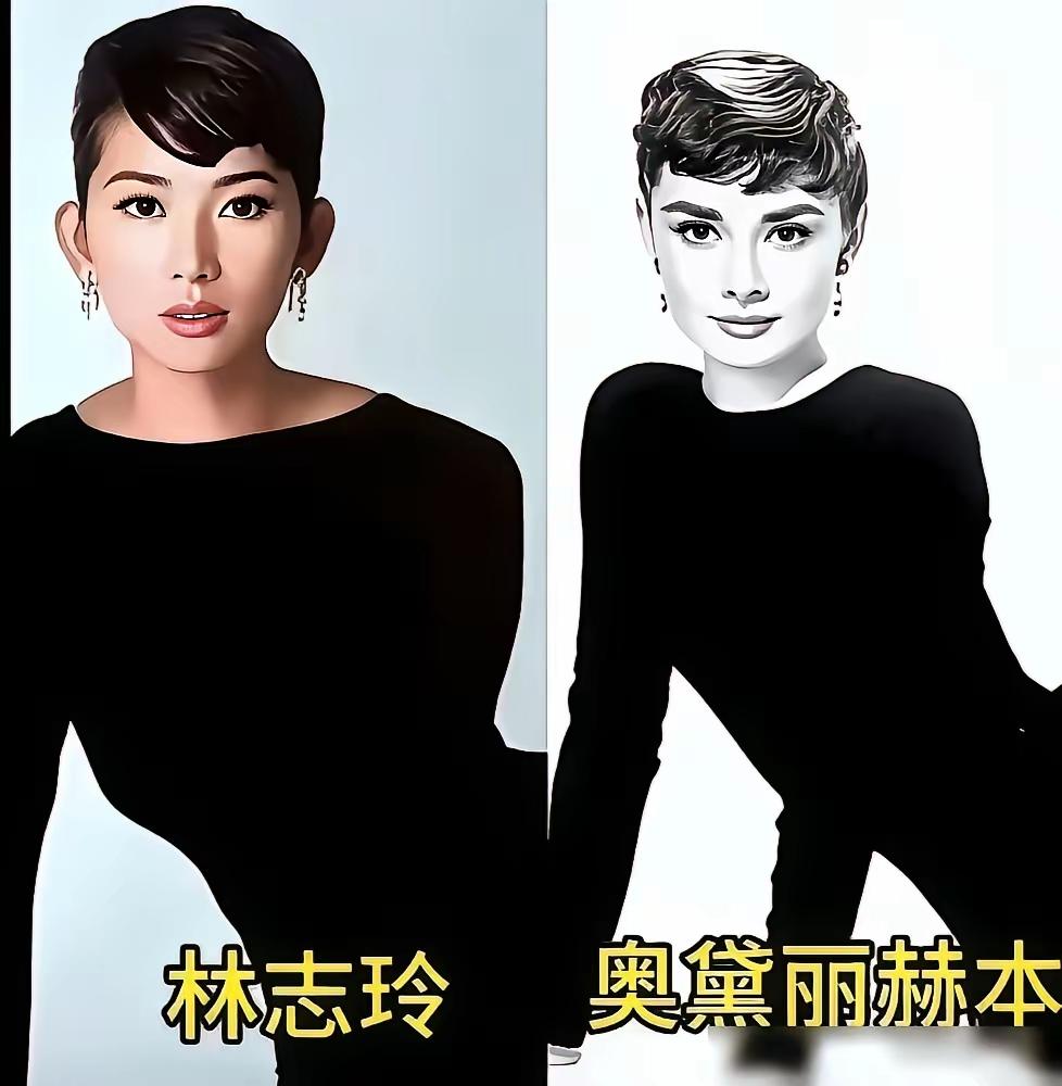 只有吴昕的奥黛丽赫本看起来才是高度还原，其余几个的只能说是东施效颦！不，不，也