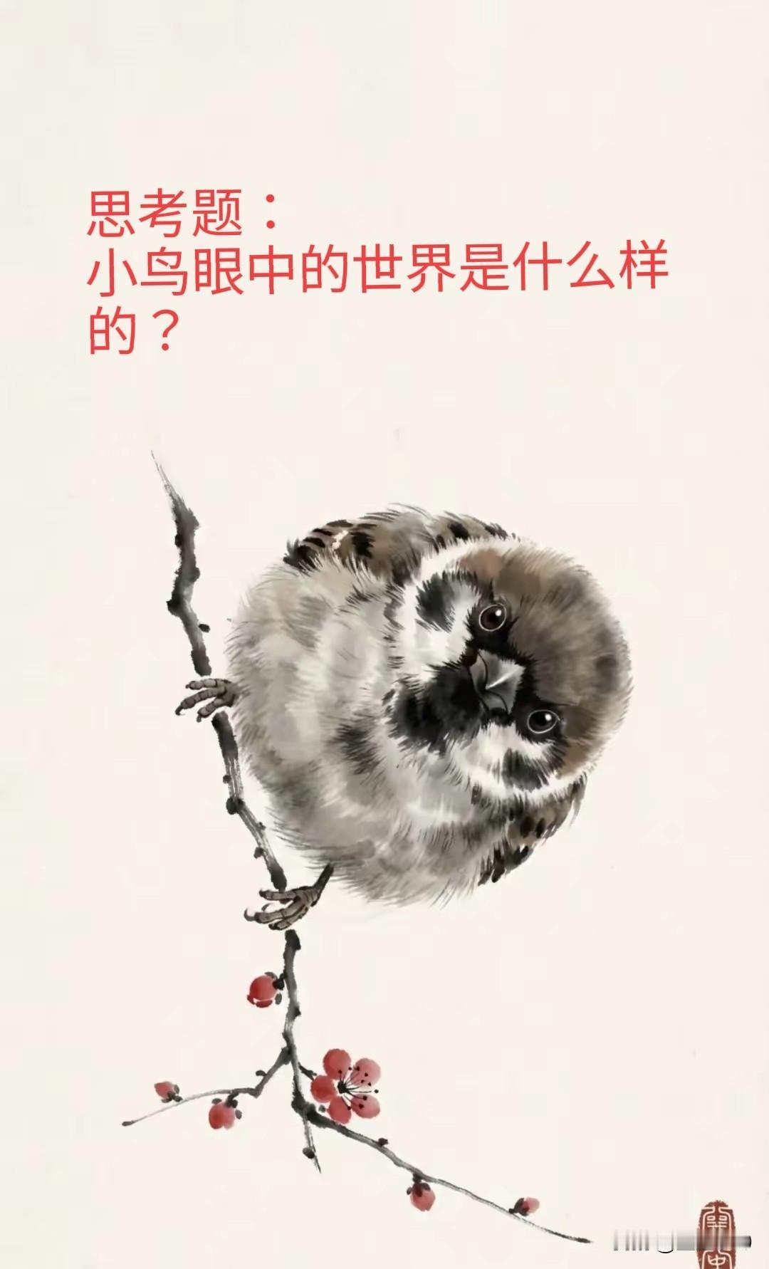 奇点形成之前,宇宙是怎么样的?根据现有天文物理数据，进行大数据模拟得到的结果，彻