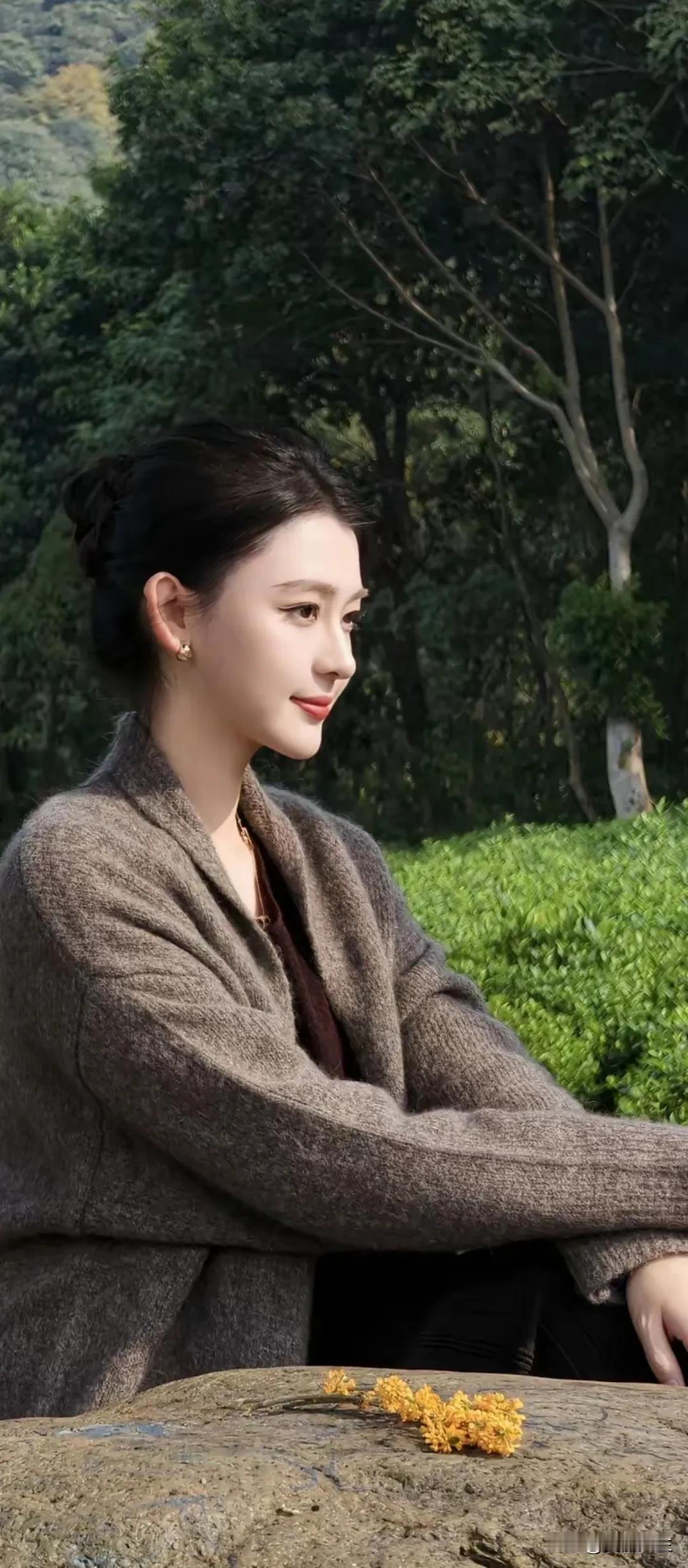 不想上班，想去热带雨林