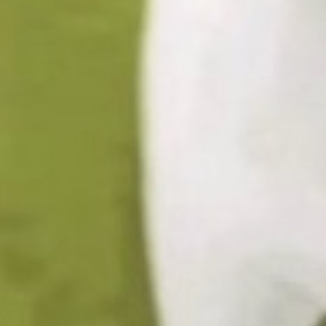 0000黄瓜种植方法🥒：1.时间一般在春季1-3月或者夏秋季节6-8月。黄瓜的