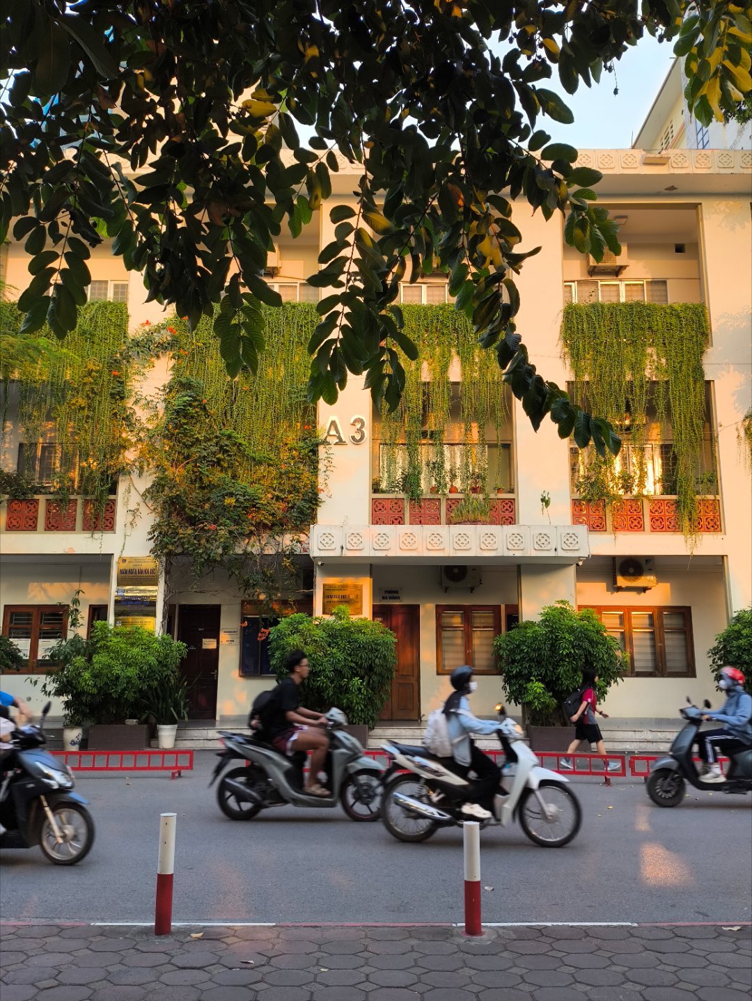 河内国家大学一瞥，欢快的学生气息扑面而来​​​