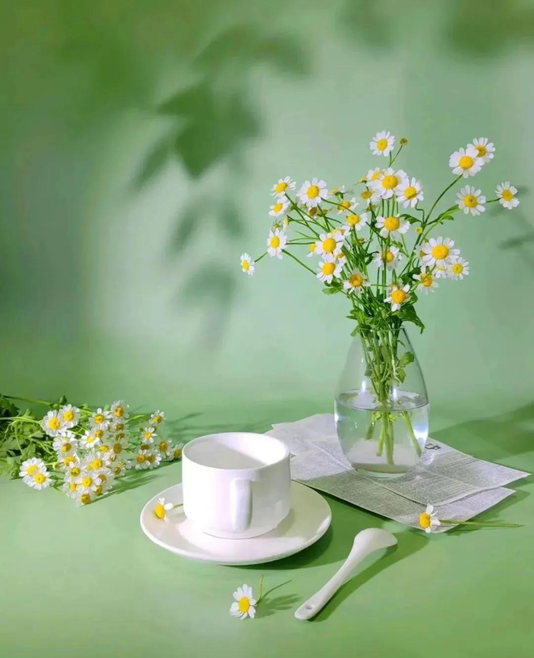 岳父去世了，女婿没上礼，成了众矢之的九十多的老王去世了，儿女们谨遵遗