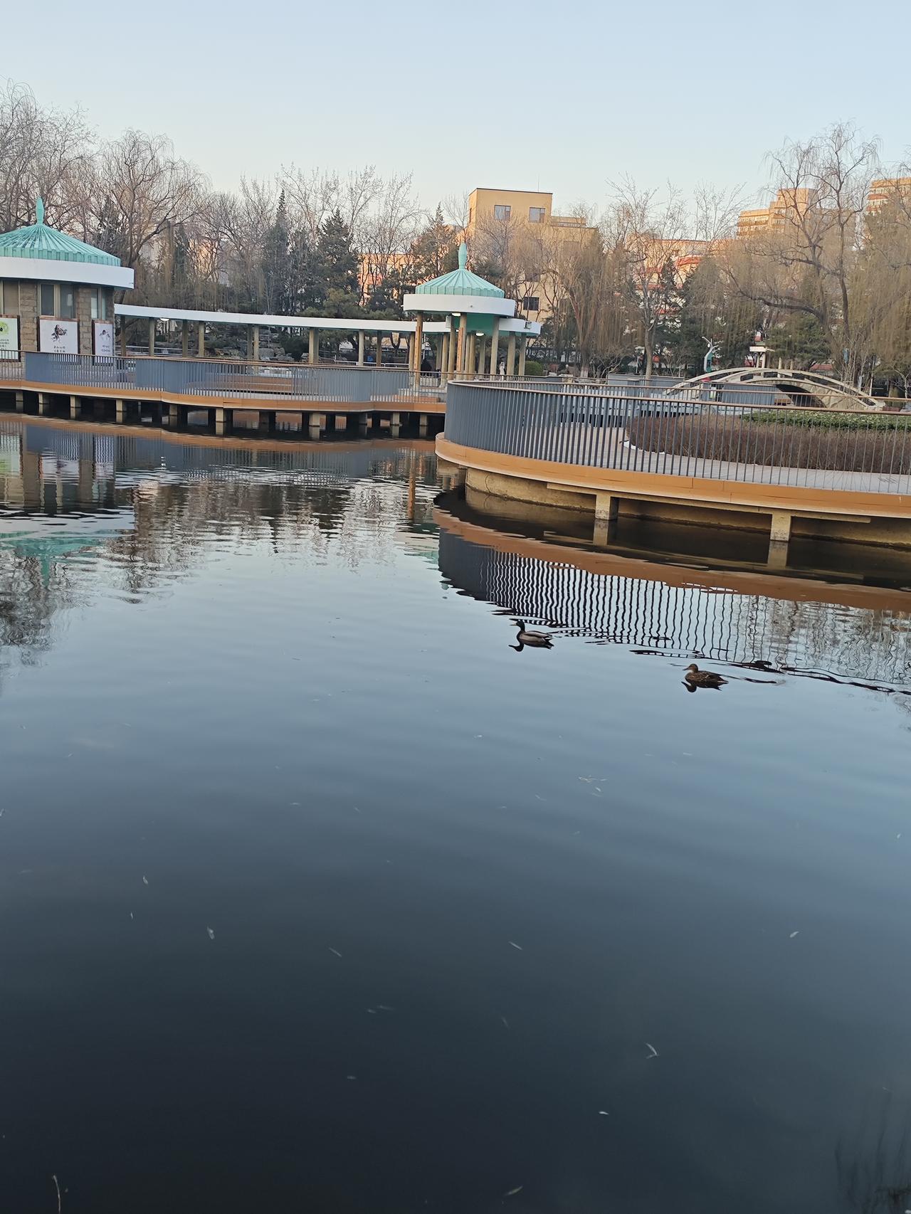 退休以后，社交圈和不必要的朋友圈该删的删退休以后，少参加社会上乱七八糟的社