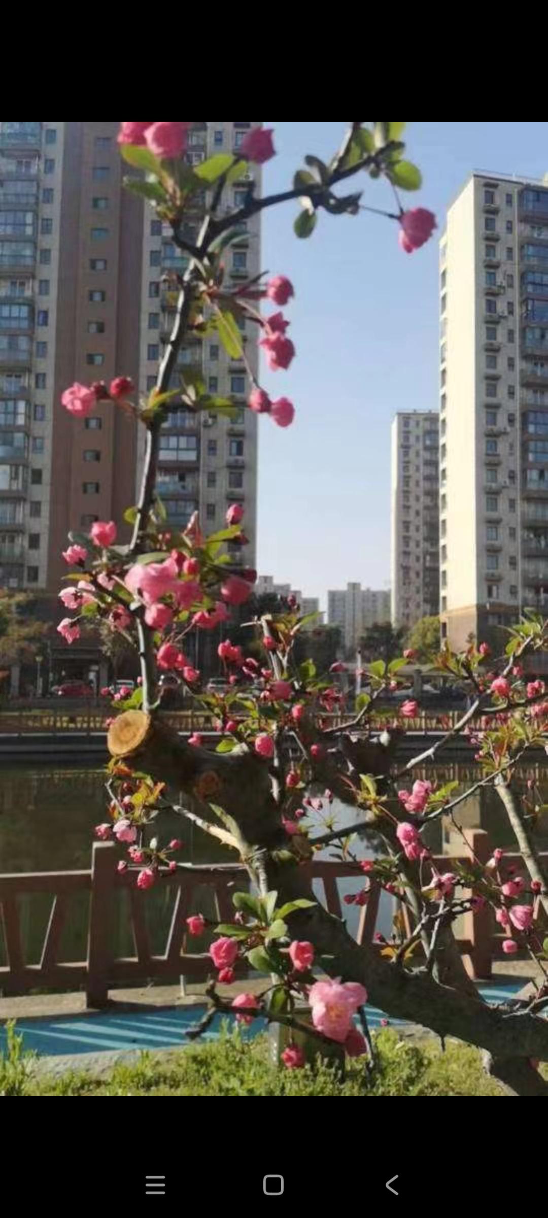 人生一切，顺其自然就好。何苦为难自己？