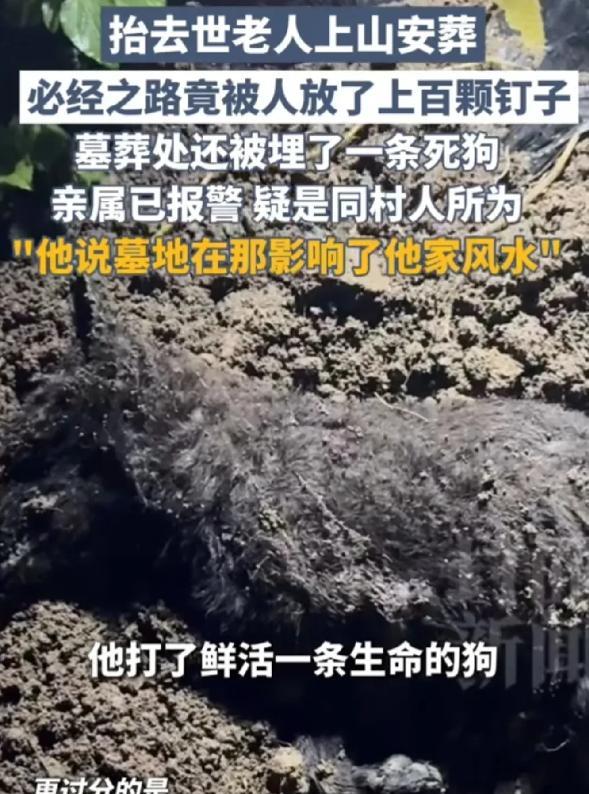 “缺不缺德！”重庆老人去世，家属准备将遗体安葬在自家地里。不料，安葬的必经路上，