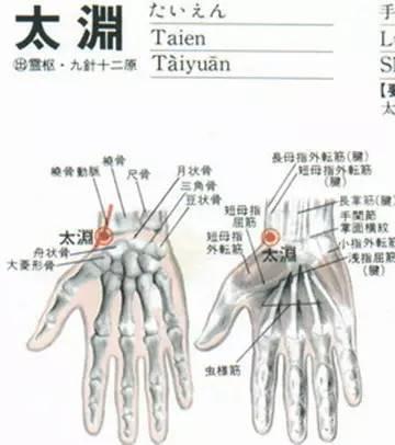 气短、爬楼就喘？太渊穴补肺气大家好，我是陈大夫！不少人稍微活动一下就喘，爬两