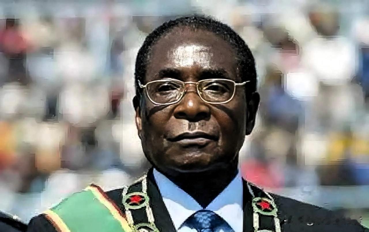 特权如黑洞，无声无息吞噬着社会肌体中所有独立与自治的空间。津巴布韦曾是一片沃土，