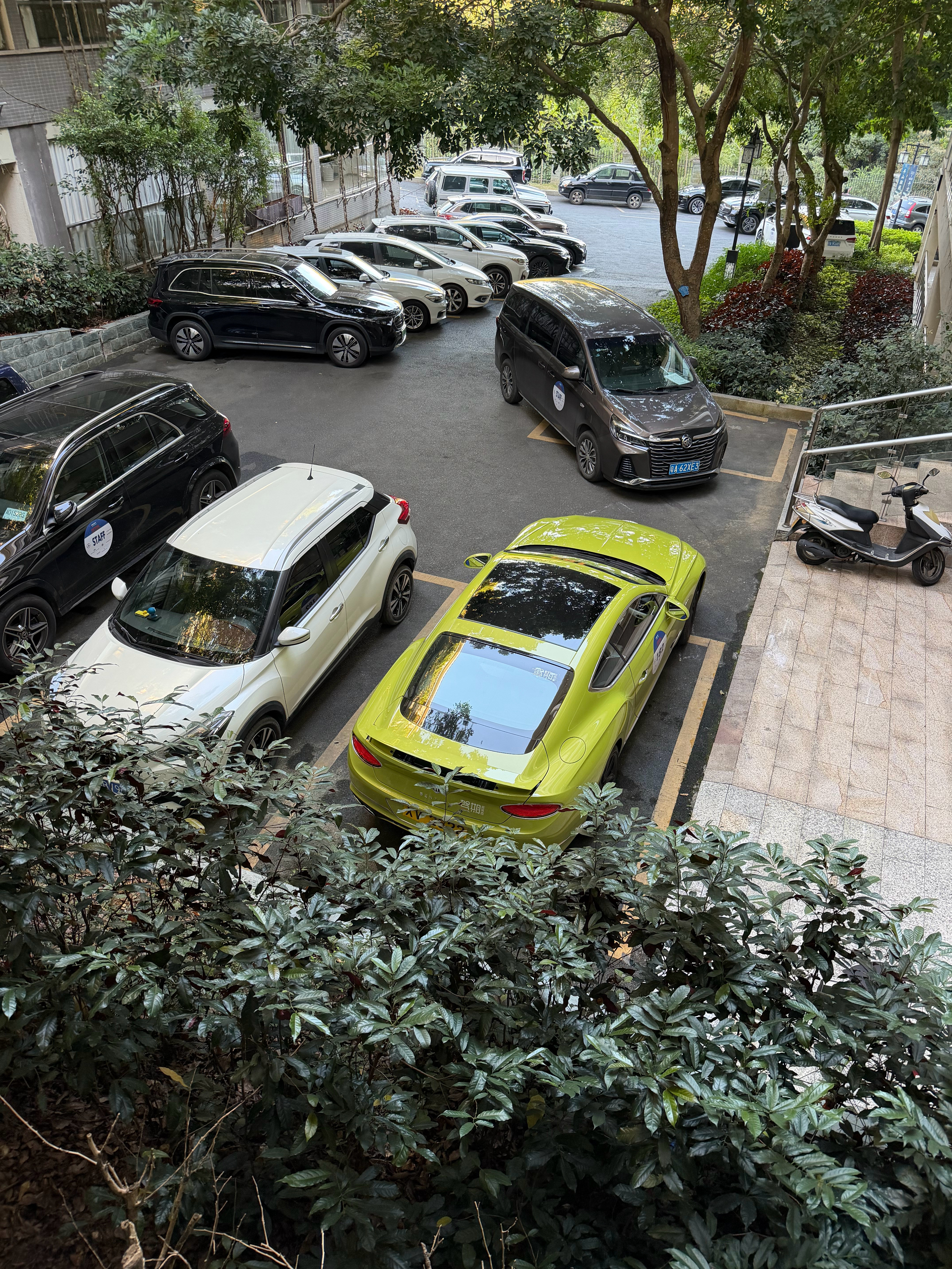 黑白灰中一抹绿，这个颜色的宾利GT还是非常漂亮的。