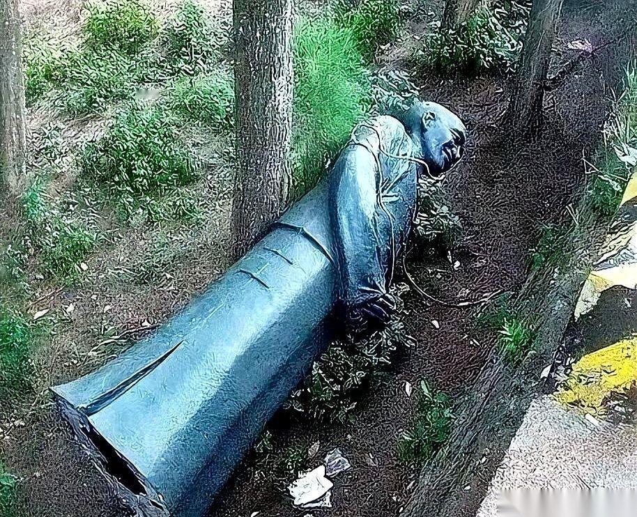 真的有点看不懂了。把自家老蒋的像推倒、泼漆、砸个稀巴烂。转过头，“哐”一声，