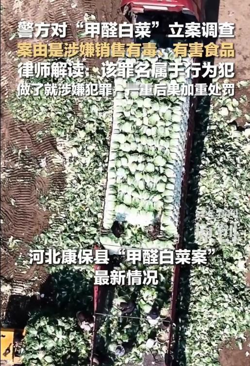 毒白菜再次证明了一个道理：胖东来的优秀，一半靠自己努力，一半靠同行衬托。毒白菜