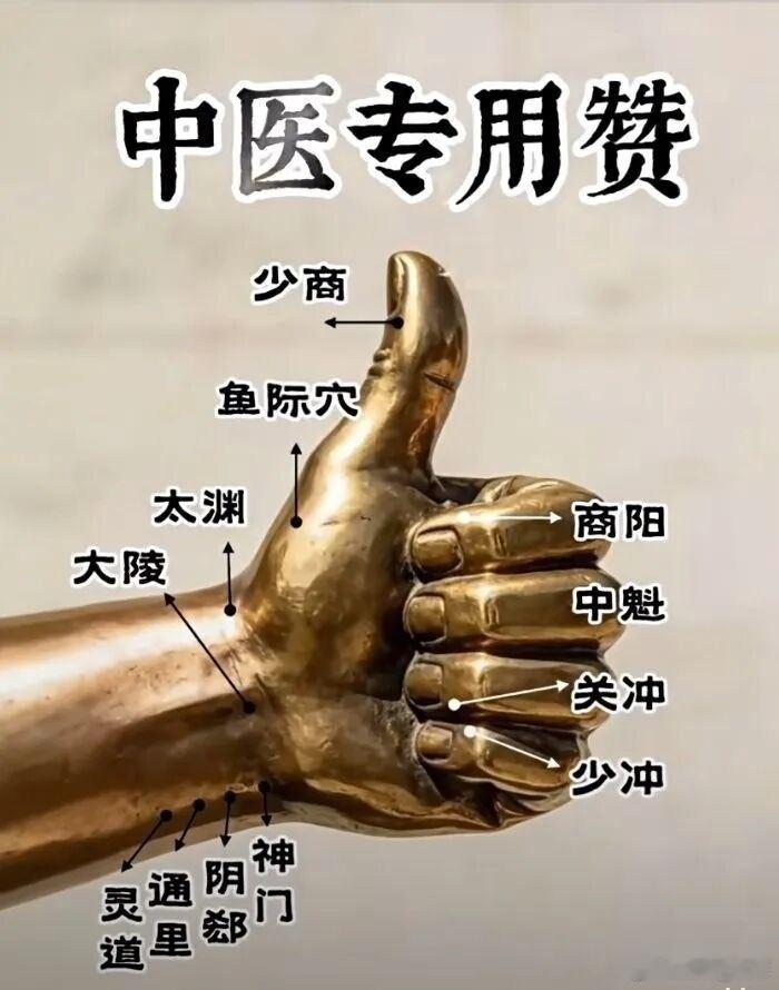 气为血之帅，血为气之母。气负责推动，血负责濡养。气虚，推动无力，血脉运行就会滞缓