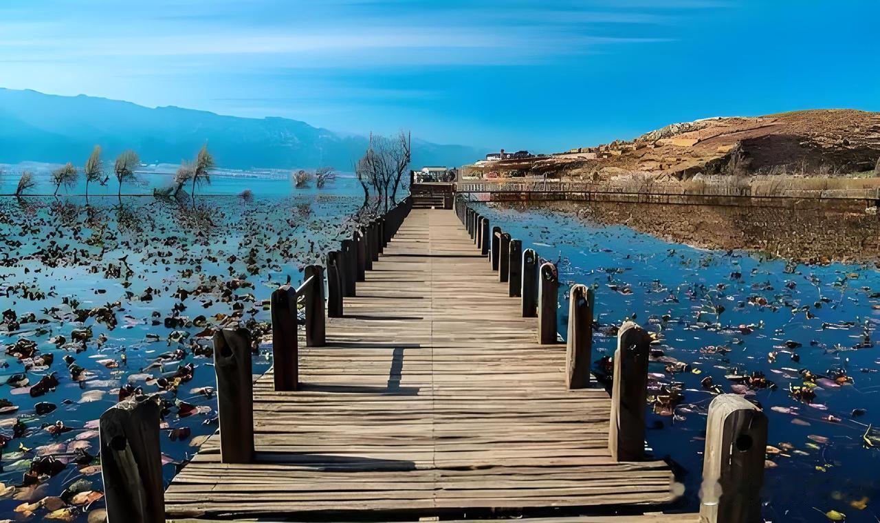 中国高校最多的城市一、杭州：47所二、长沙：57所。三、成都：57所