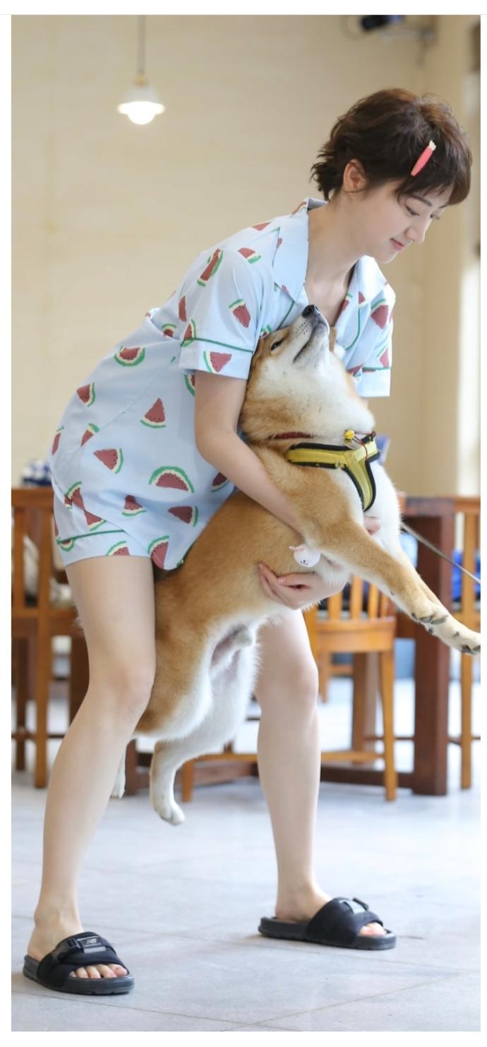 景甜，皮肤是真白啊，就是这一抱不得一身毛啊！