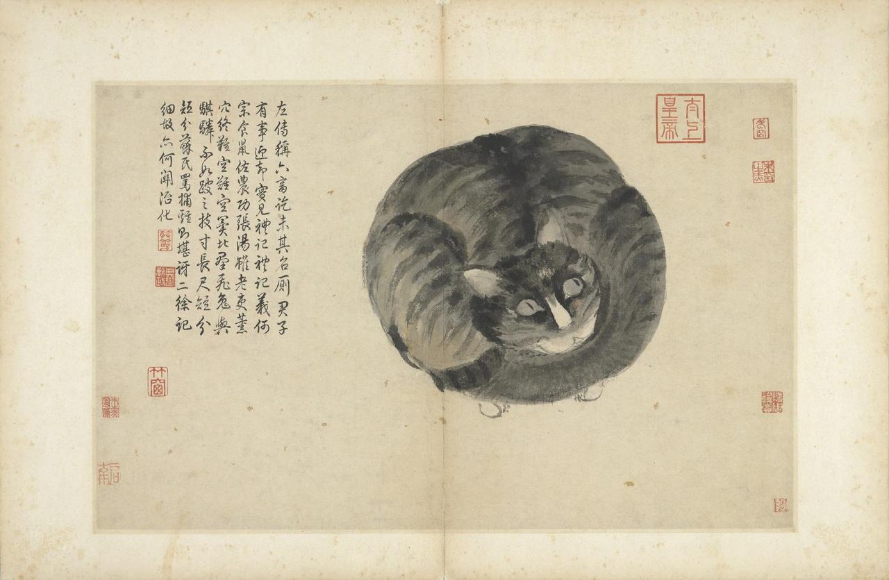 【吃剩的蛤蜊、睡懒觉的家猫，全被沈周画进国宝画册】谁能想到，如今藏于台北故宫