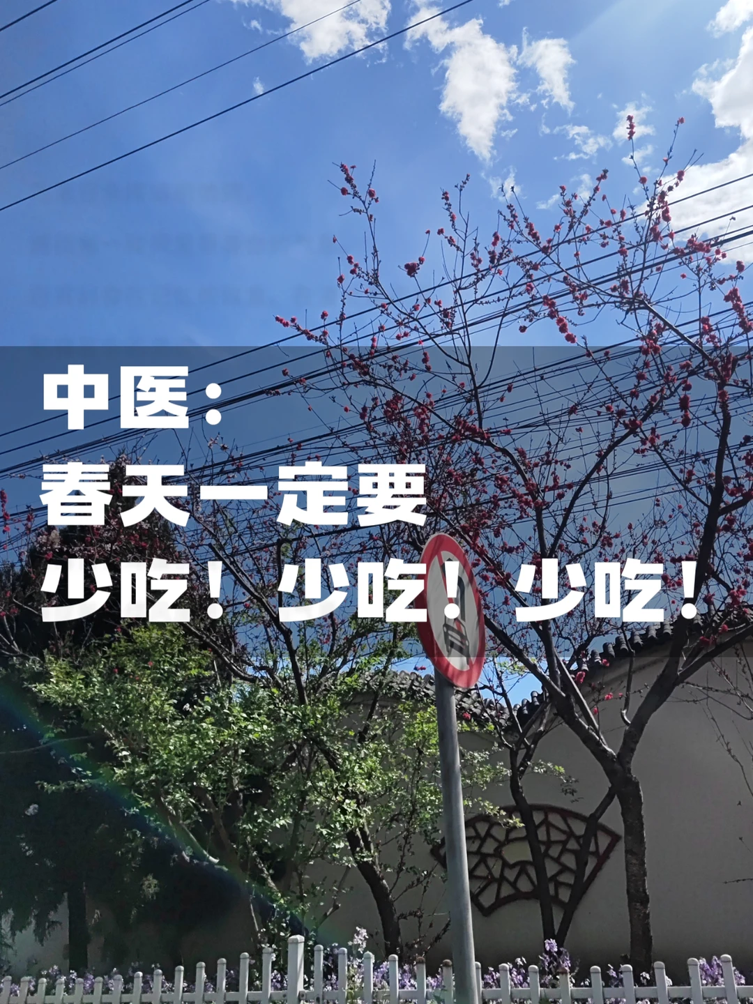 中医：少吃。少吃。少吃。