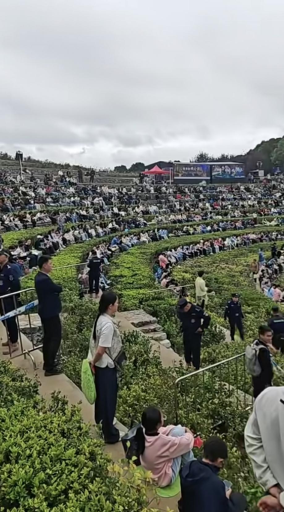 女子发了个视频，这几天各个景点里面都是人山人海，本以为去附近的一个梯田玩，游客应