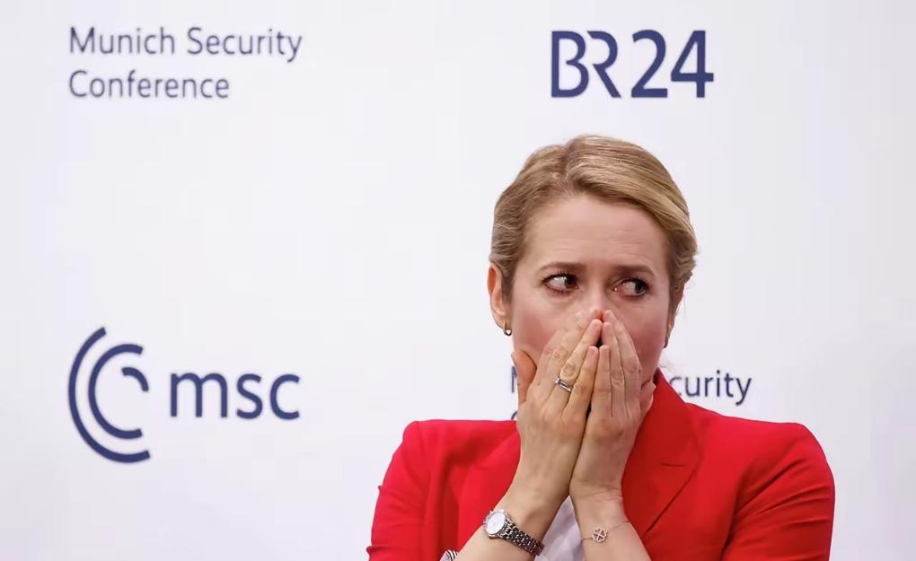 这娘们儿疯了吧？你是欧盟的外长，乌克兰都不是你们欧盟的国家。别人是一个独立的