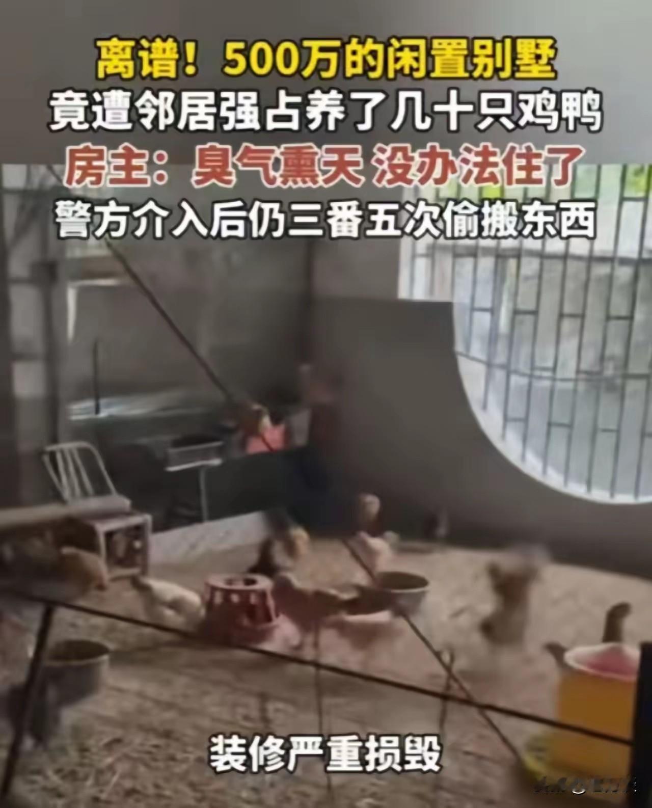 强占别人无人居住的别墅，在里面养鸡养鸭，臭气熏天。这样做的实在是太过分了。更过分