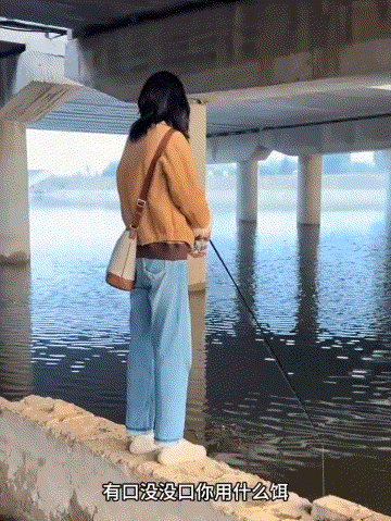 网友:你那鱼饵是钓鲨鱼的吧？