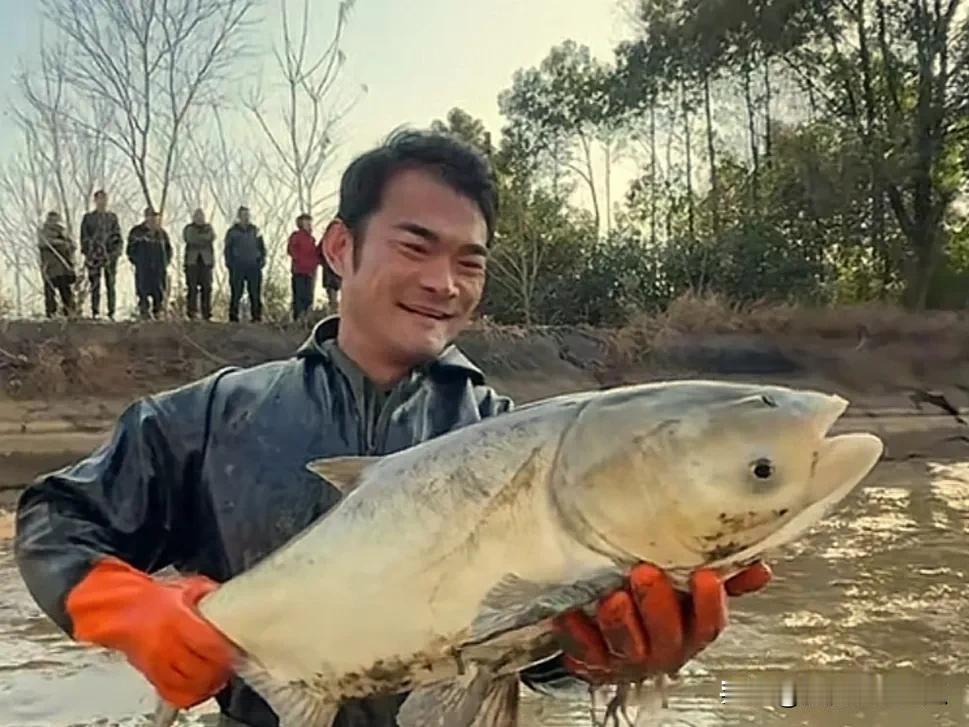 终于知道网友为什么喊李维刚是李赔光。就在今天，李维刚又更新视频了，还是原来