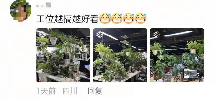 当代年轻人的倒贴上班😅​​​