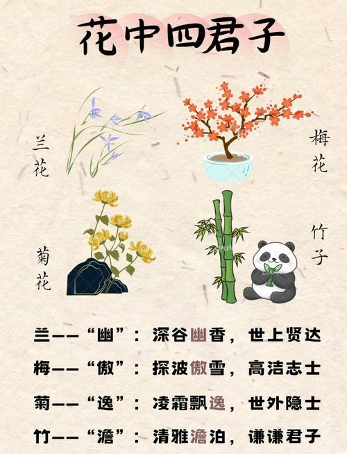 四君子傲樱梅花绽蕾春快归兰花绽香韵相随竹姿绽节直有势菊花绽放秋来