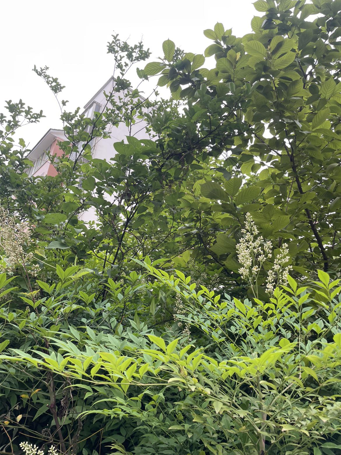 我的今日状态：😁轻松愉快我这里的天气：☁️阴天说是阴天，早上还是下了小雨了