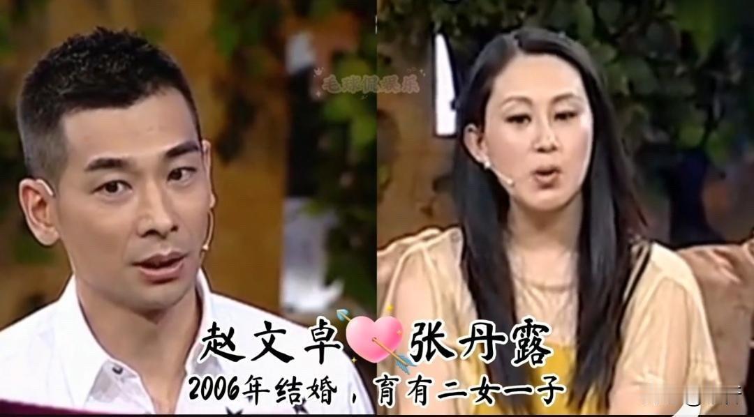 武打明星们的婚姻：硬汉背后的女人，个个都不简单。先说甄子丹和汪诗诗。甄子丹是