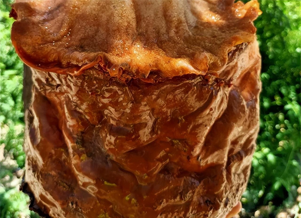 1993年7月的河北完县，钻井机的轰鸣声打破了山村的沉寂。当钻杆探到117米